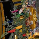 Vraj-Yatra-2014- (2068)